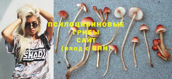 герыч Нефтекумск