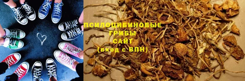 закладки  кракен ССЫЛКА  Псилоцибиновые грибы Cubensis  Хабаровск 