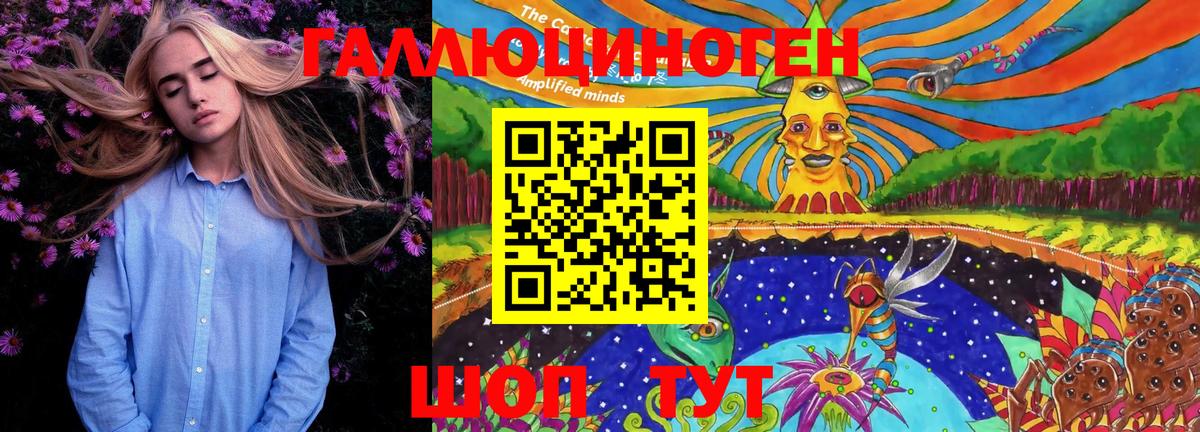 Псилоцибиновые грибы Psilocybine cubensis Хабаровск
