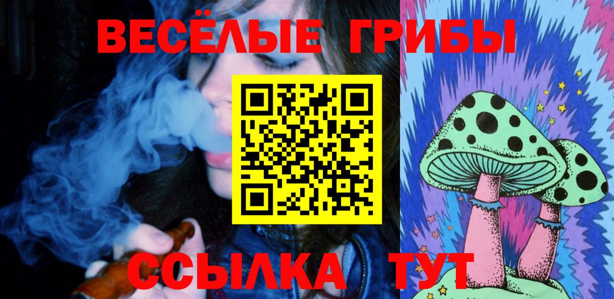 купить наркотики сайты  Псилоцибиновые грибы MAGIC MUSHROOMS  Вход с VPN  Хабаровск  Галлюциногенные грибы Psilocybine cubensis 